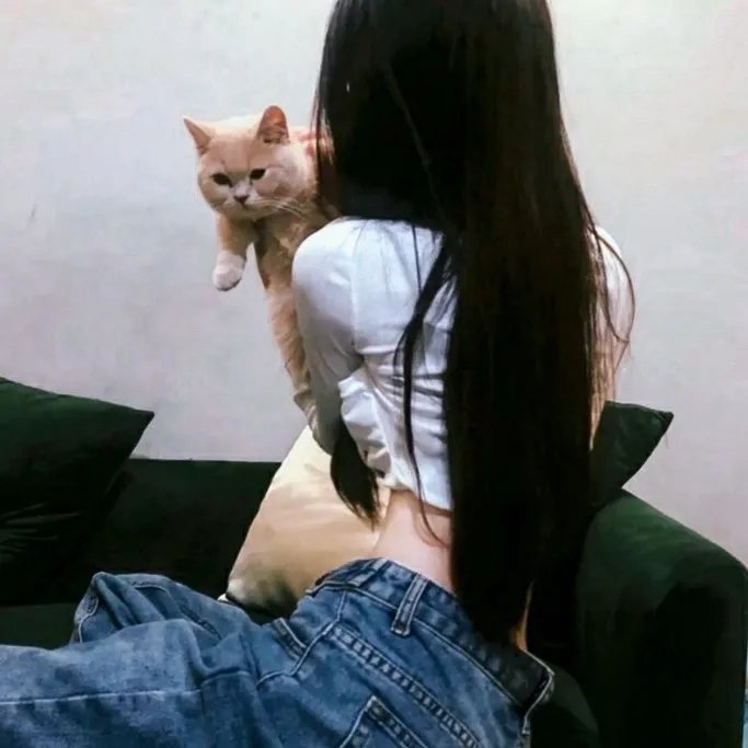 猫贼